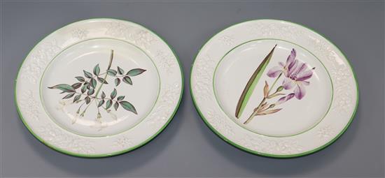 A pair of pearlware botanical specimen plates, c.1820, possibly Clews, D. 23.2cm, one restored